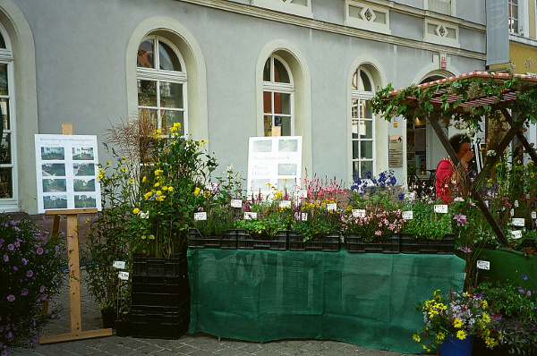 Bauernmarkt-Speyer2010