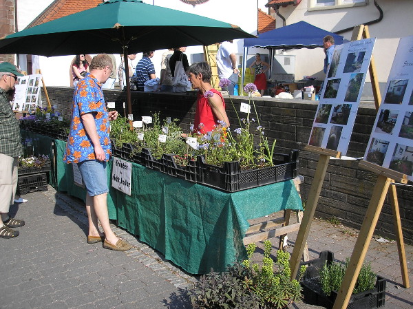 Wachenheimer-Kraeutermarkt